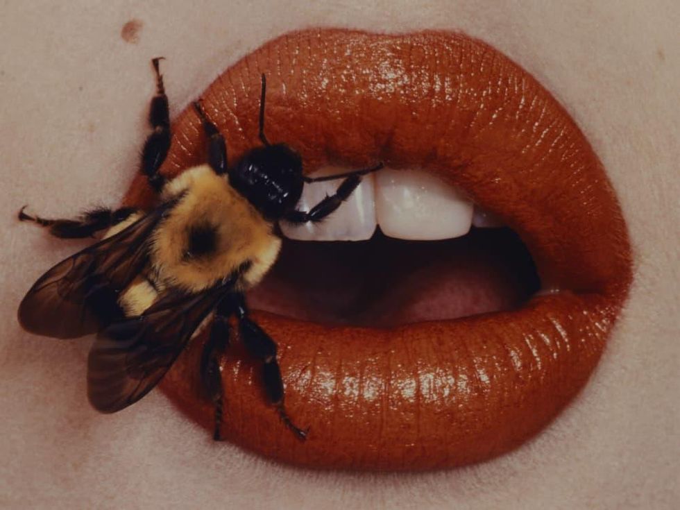 Dallas Museum of Art presents Irving Penn: Beyond Beauty