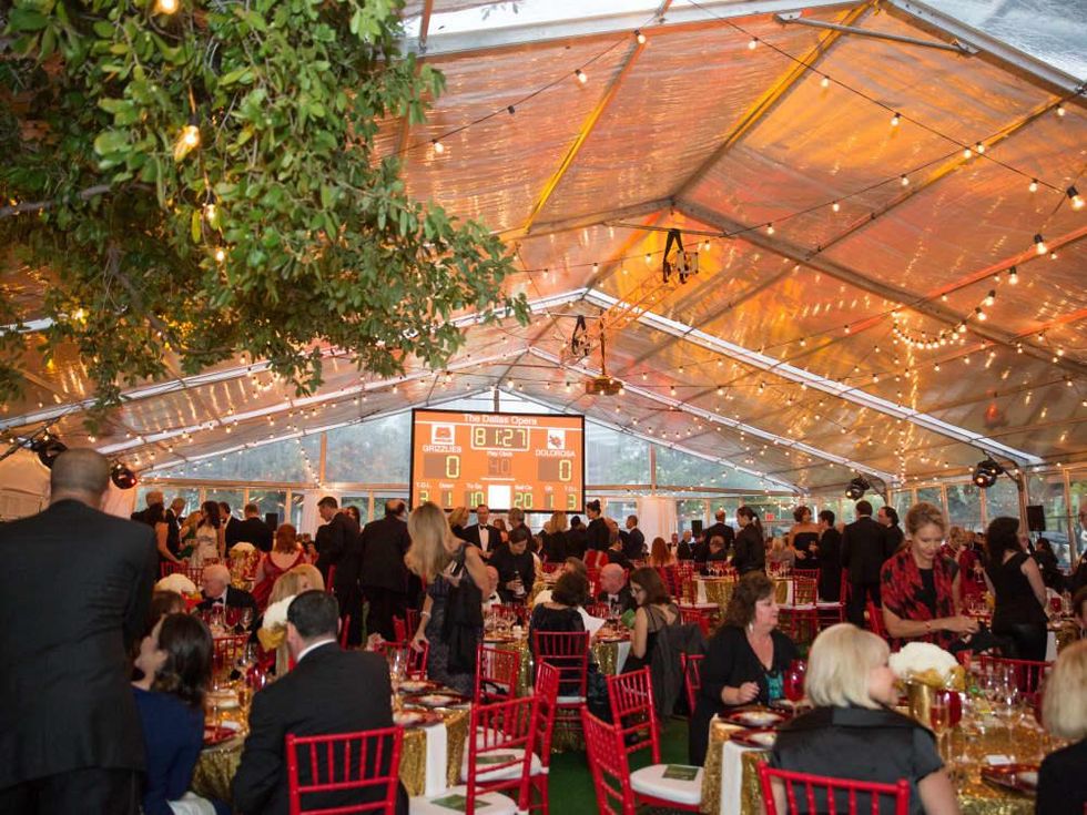 Dallas Opera First Night 2015