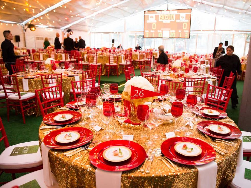 Dallas Opera First Night 2015