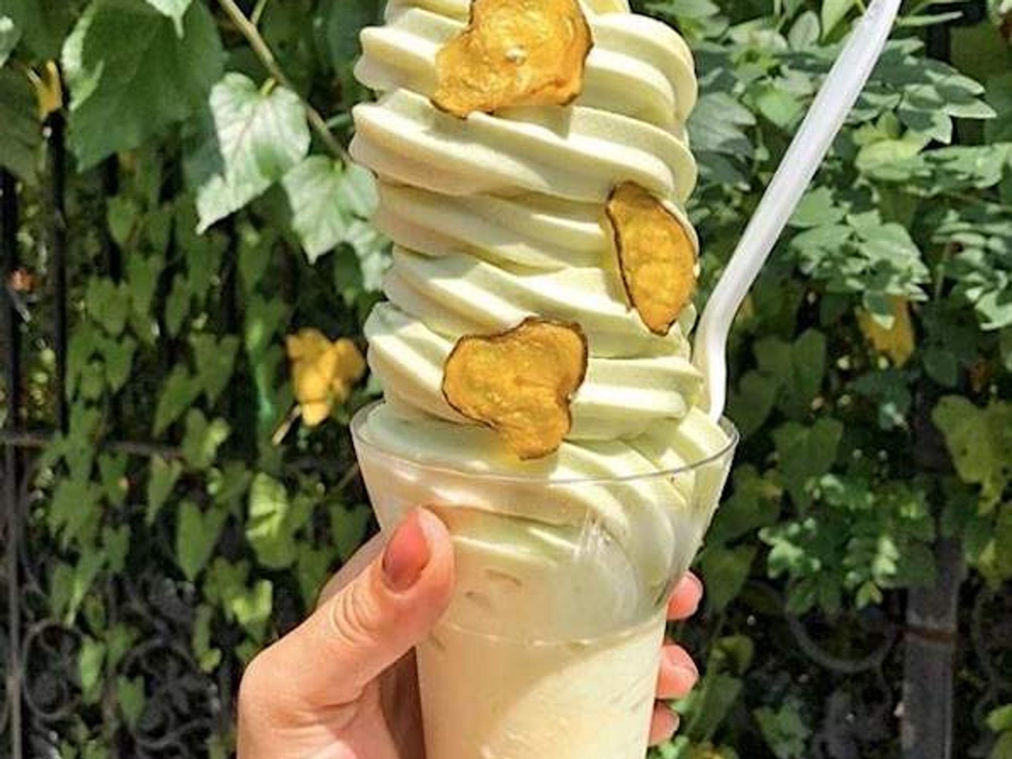 Dallas Pickle Festival