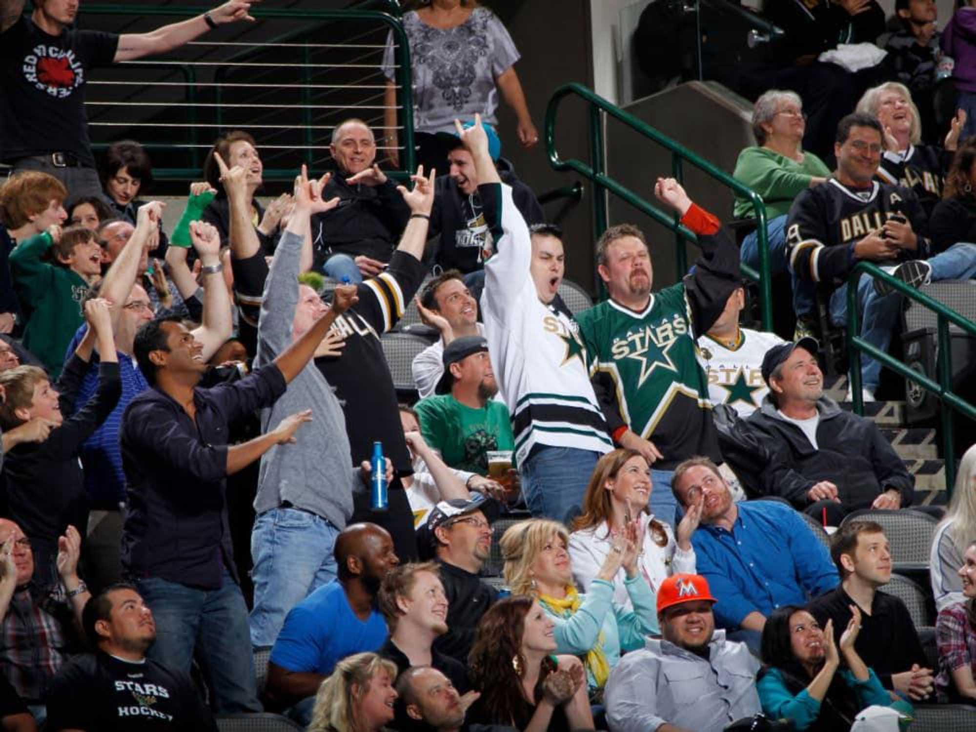 Dallas Stars fans
