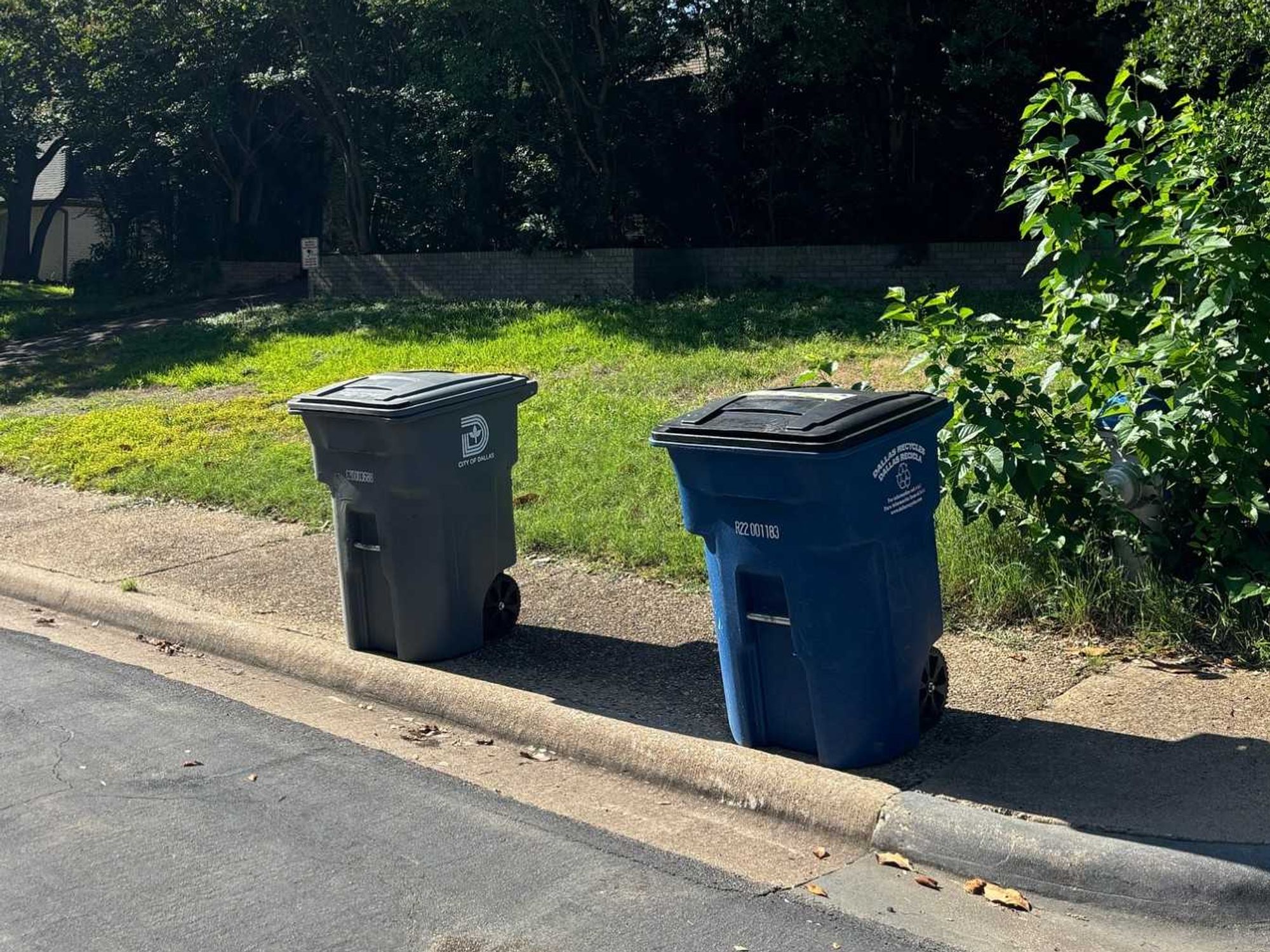 Dallas trash bins