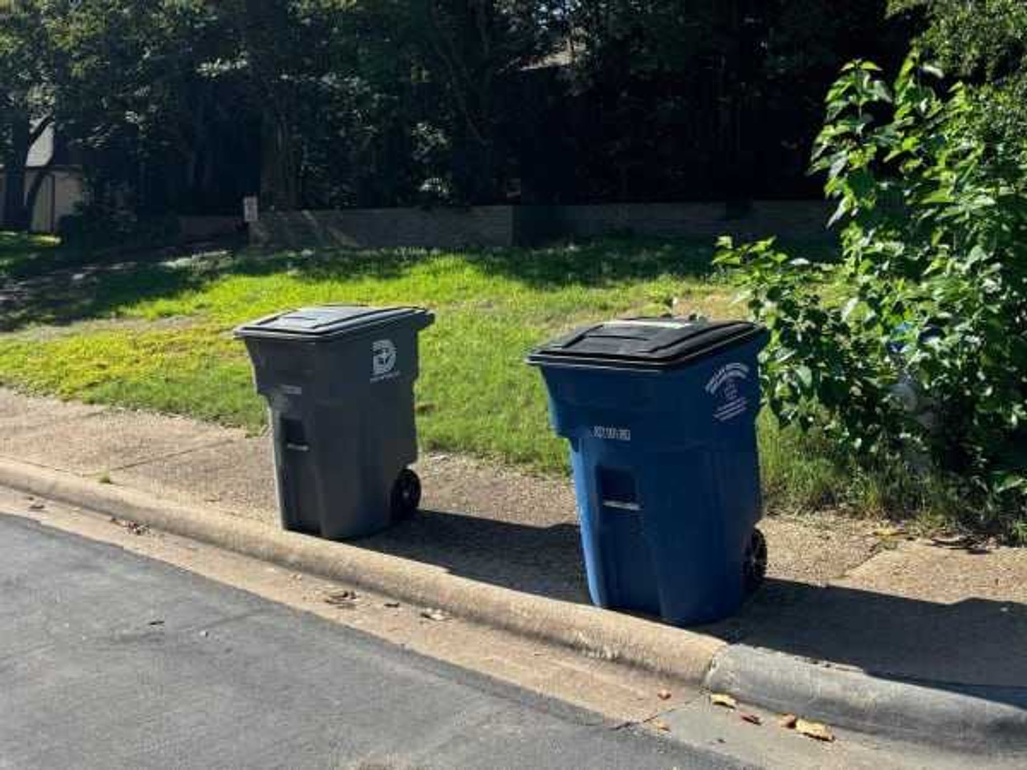 Dallas trash bins