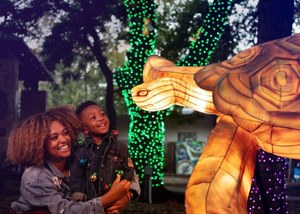 Dallas Zoo Lights