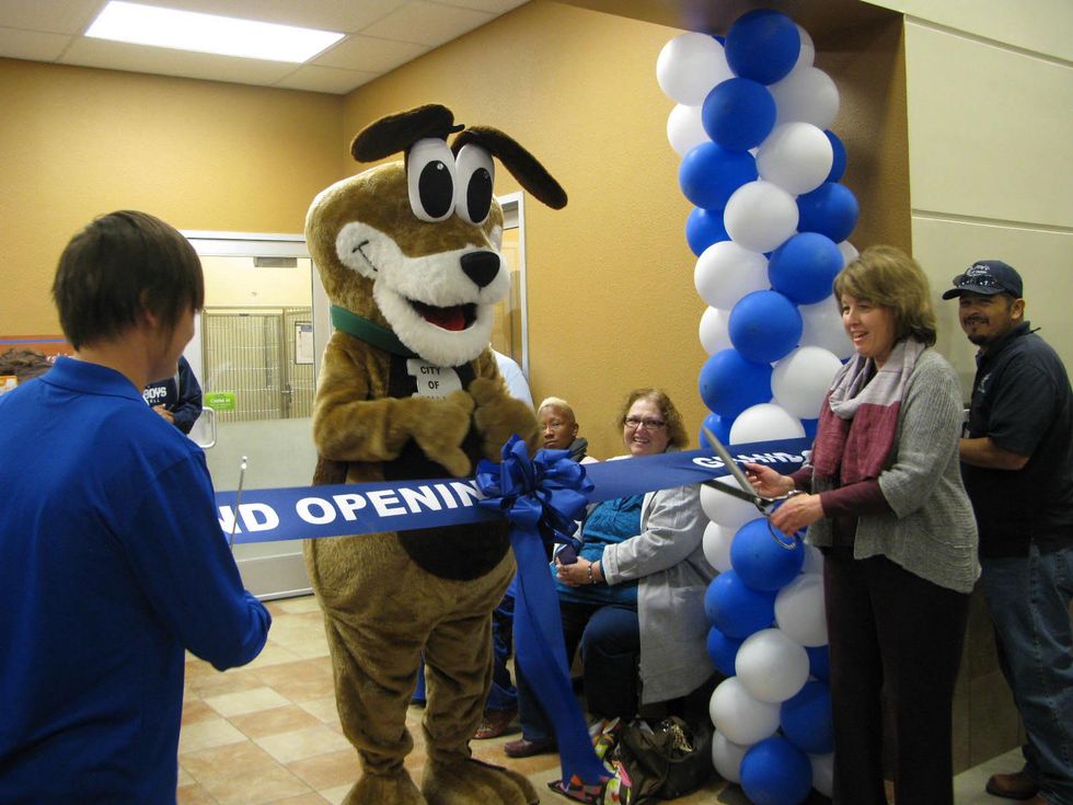 Dallas Animal Services and PetSmart join forces to open new adoption ...