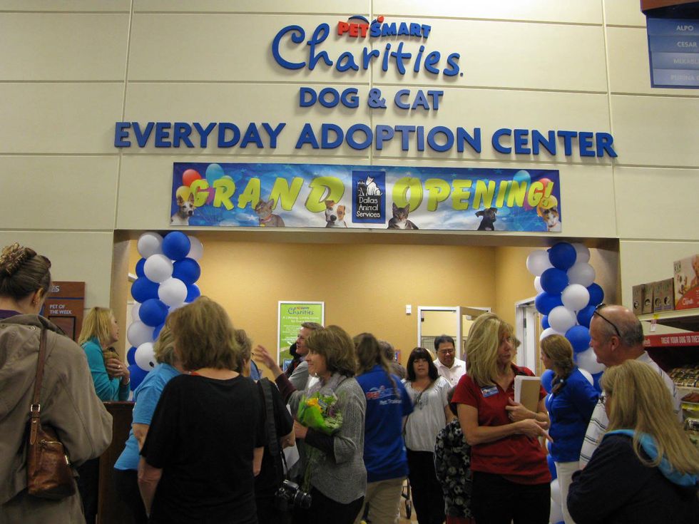 DAS PetSmart adoption center
