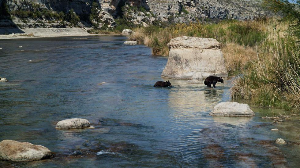Deep in the Heart 2: Texas Rivers