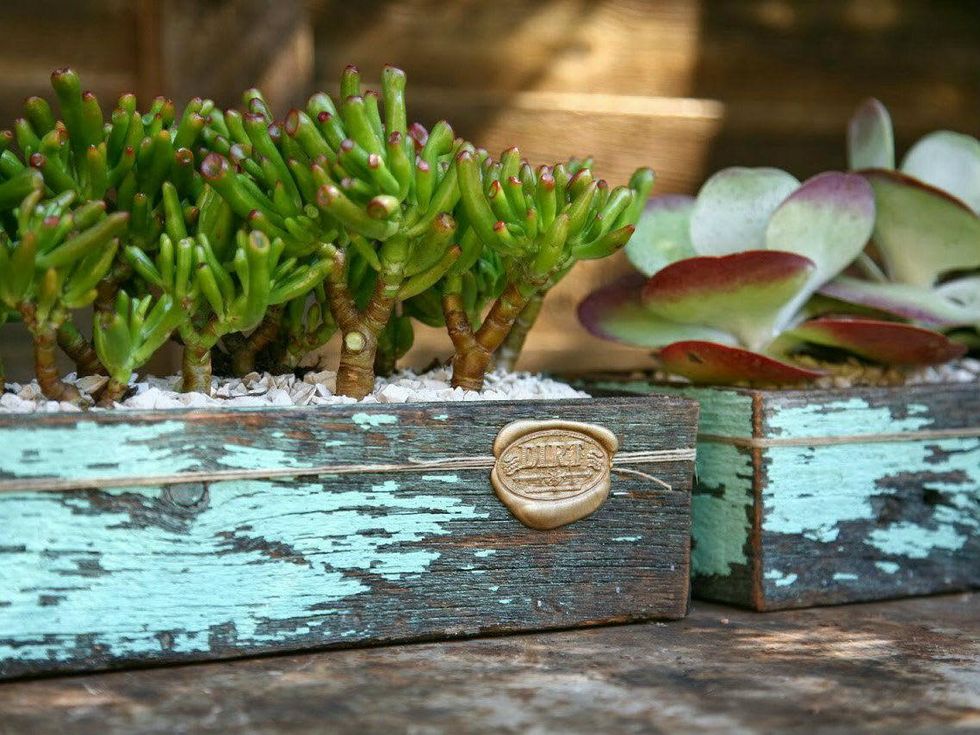 dirt, one community table