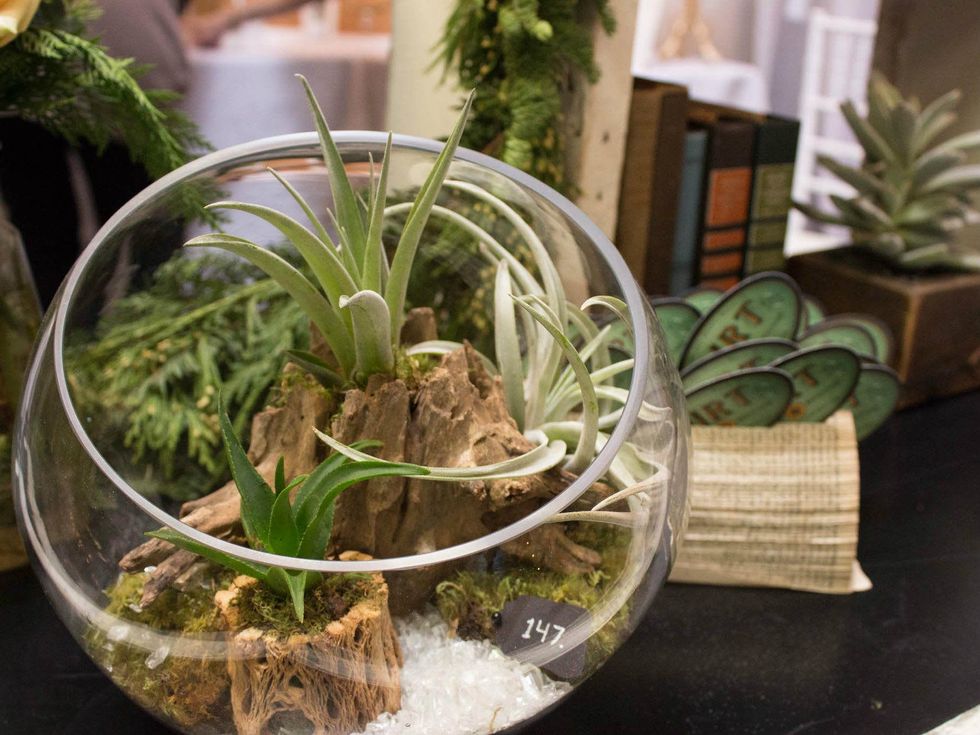 Dirt terrarium at CultureMap Holiday Pop-up Shop 2014