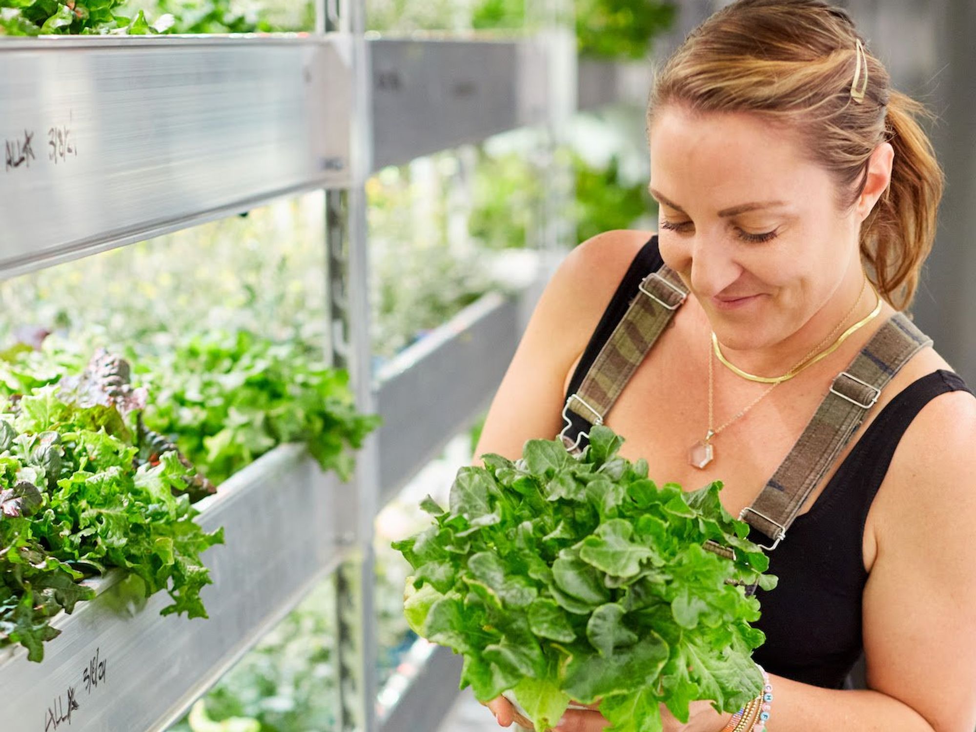 DiveDWN franchesca nor