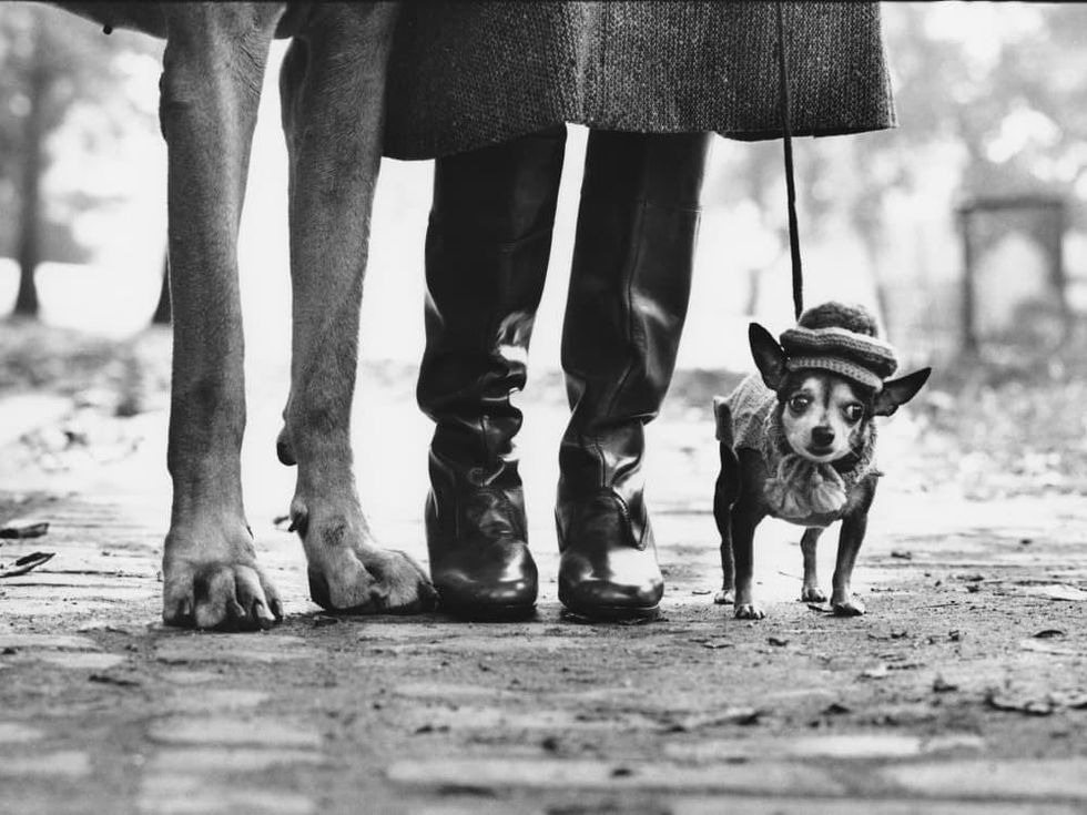 Dallas art galleries put up exciting exhibits to kick off fall 2015