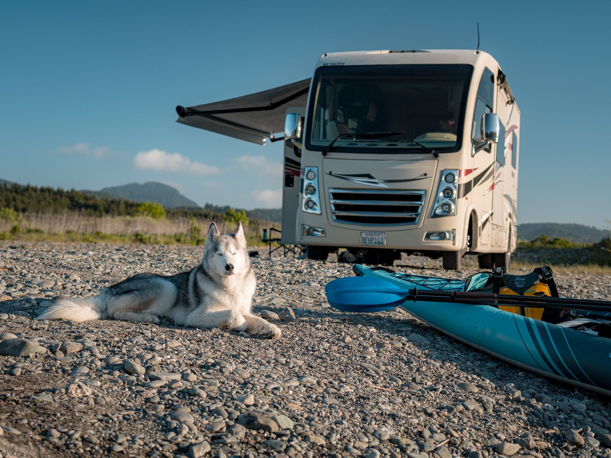 Dog, kayak, and RV