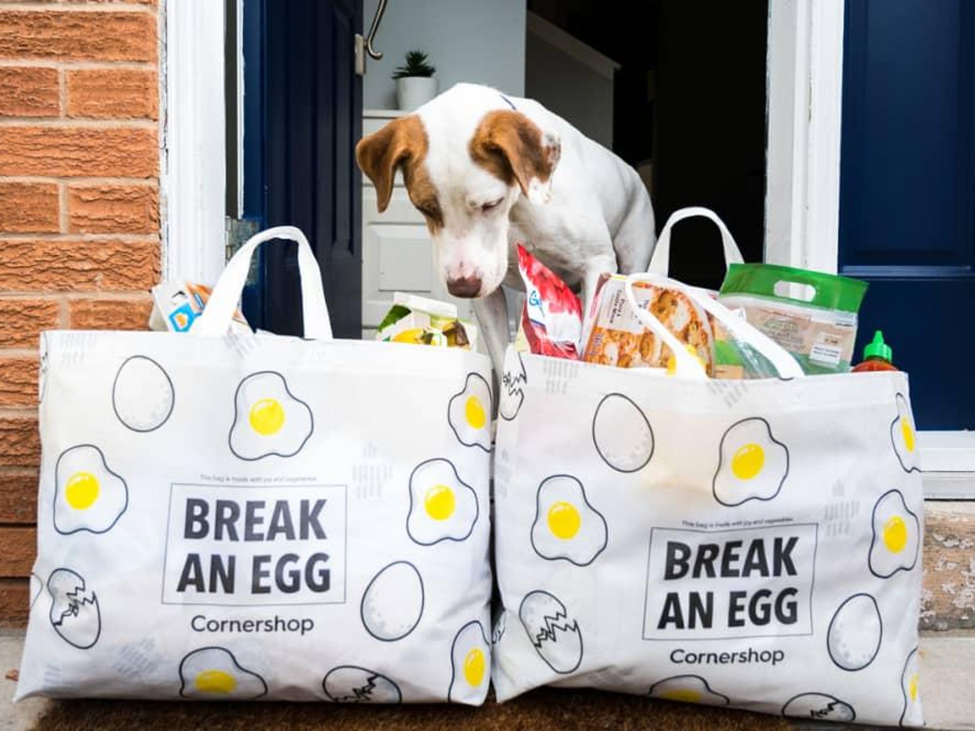 Dog with grocery bags