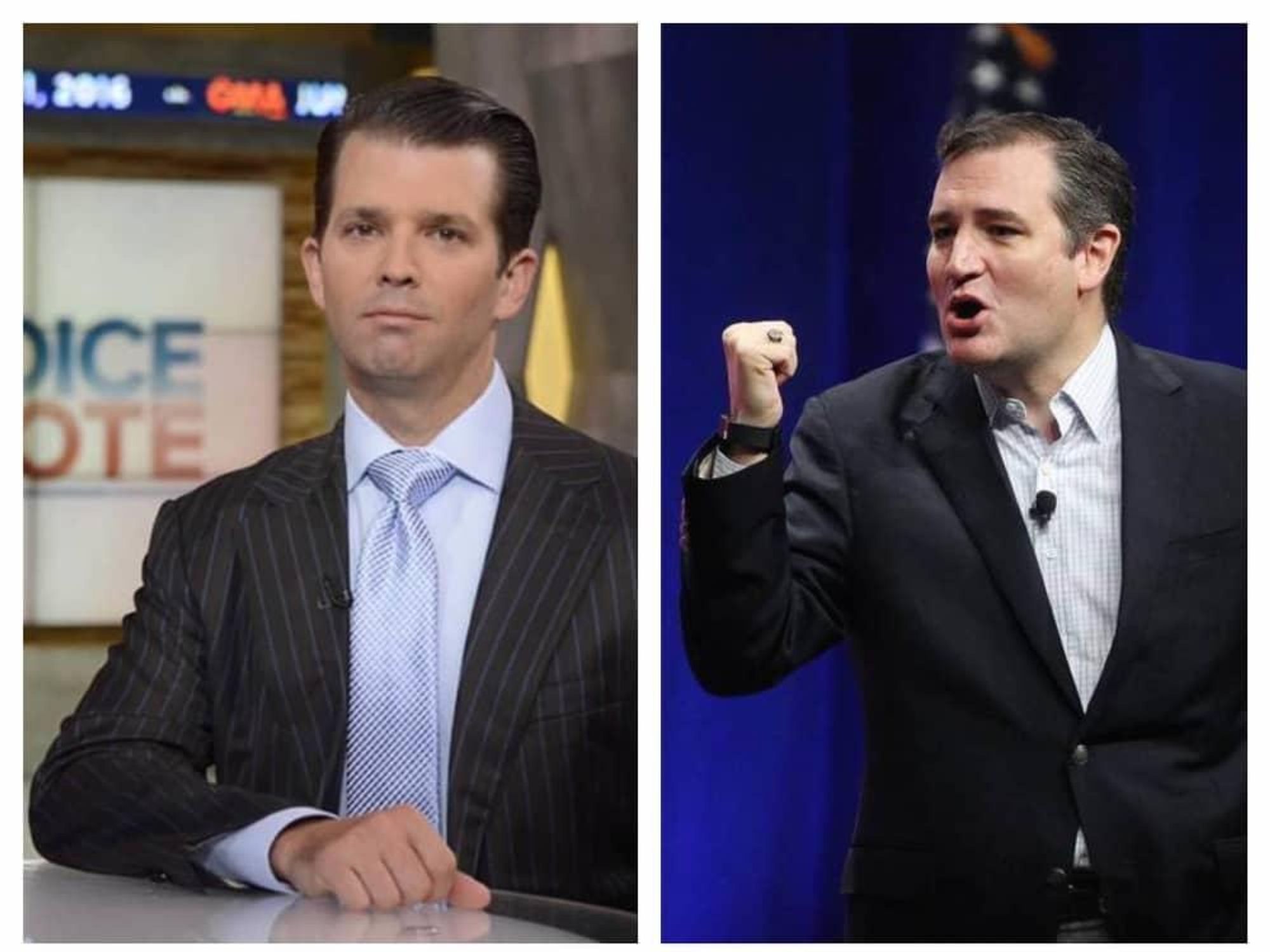Donald Trump Jr Ted Cruz combined pic