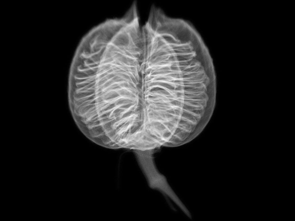 Dornith Doherty at Holly Johnson Gallery in Dallas