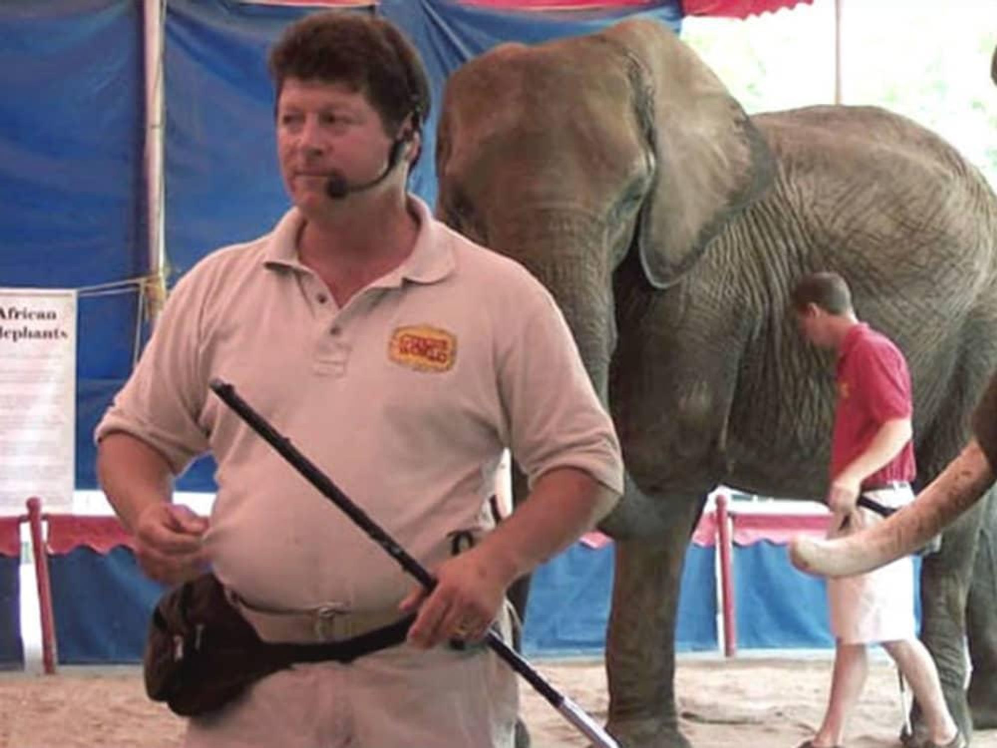 Doug Terranova elephant