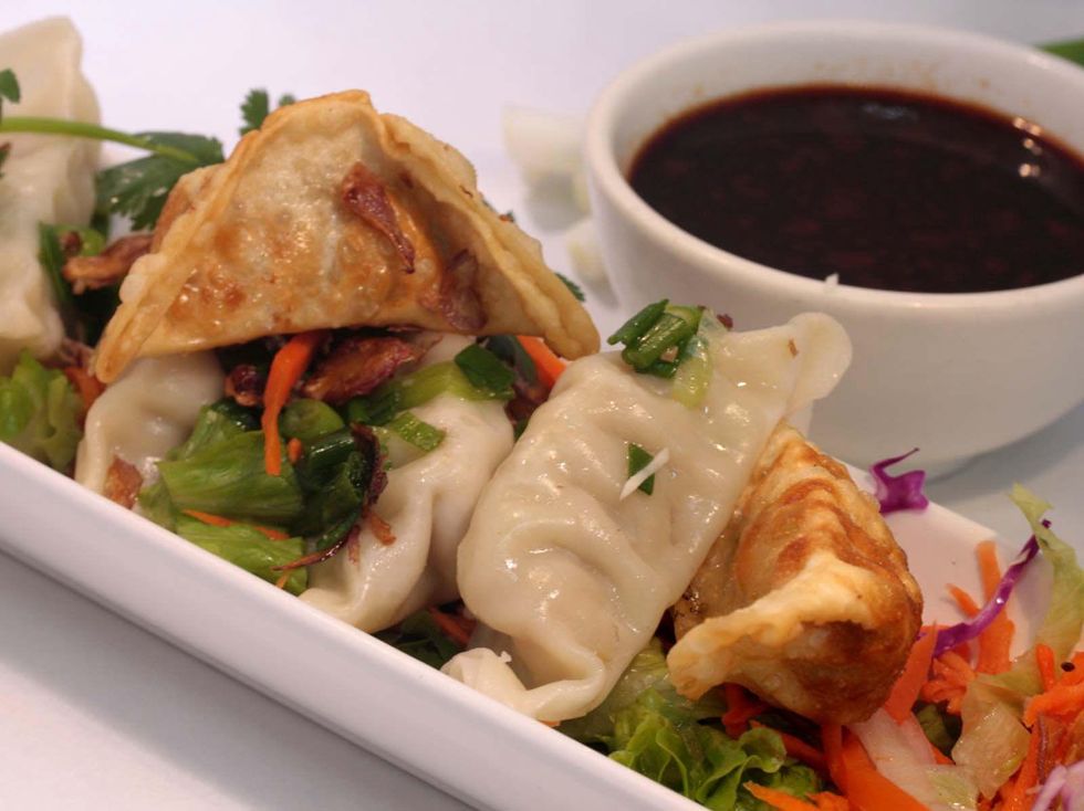 Dumplings from Rollngo