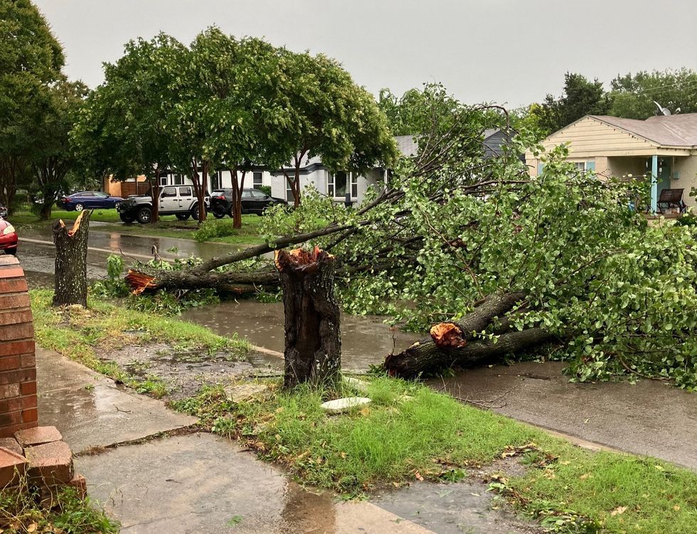 Violent storms rip across Dallas downing trees and knocking out power ...