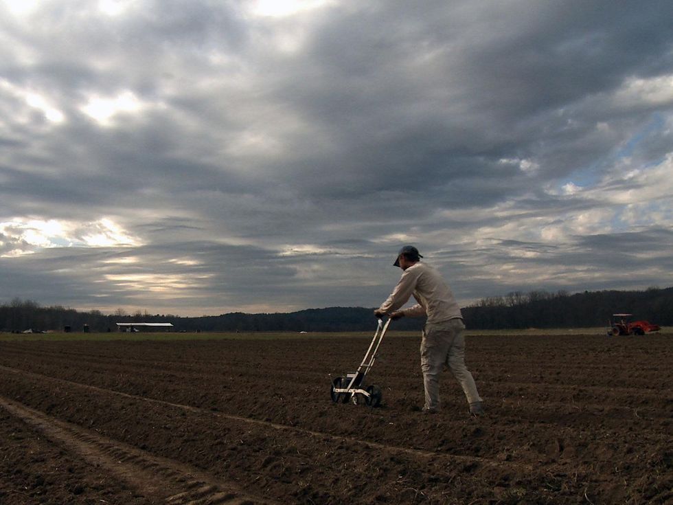 Eating Alabama documentary film