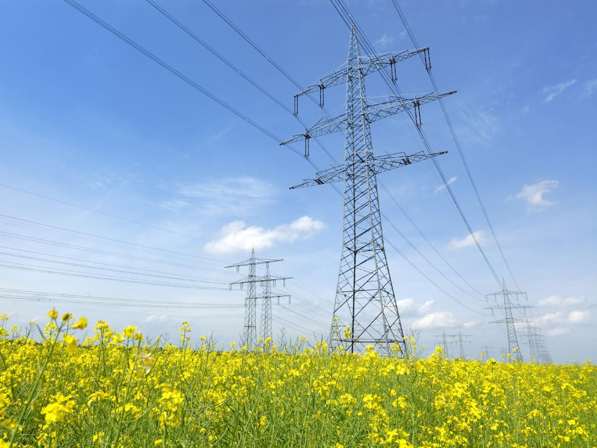 Electricity power lines