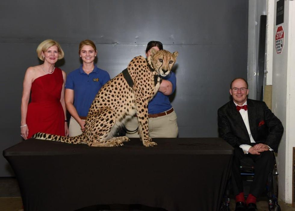 Ellen Winspear, Ryanne Hanley, Winspear the cheetah, Don Winspear