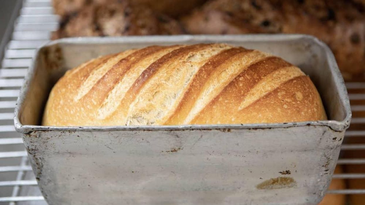 Empire Baking Company bread