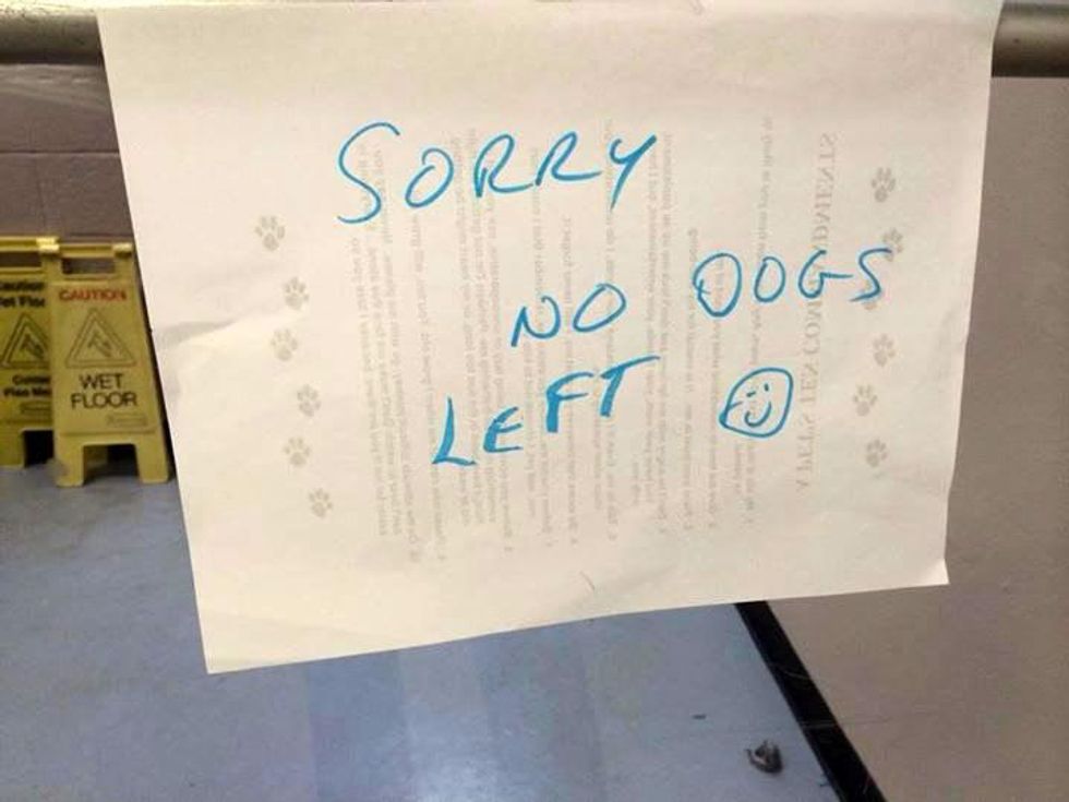 Empty the Shelter Day