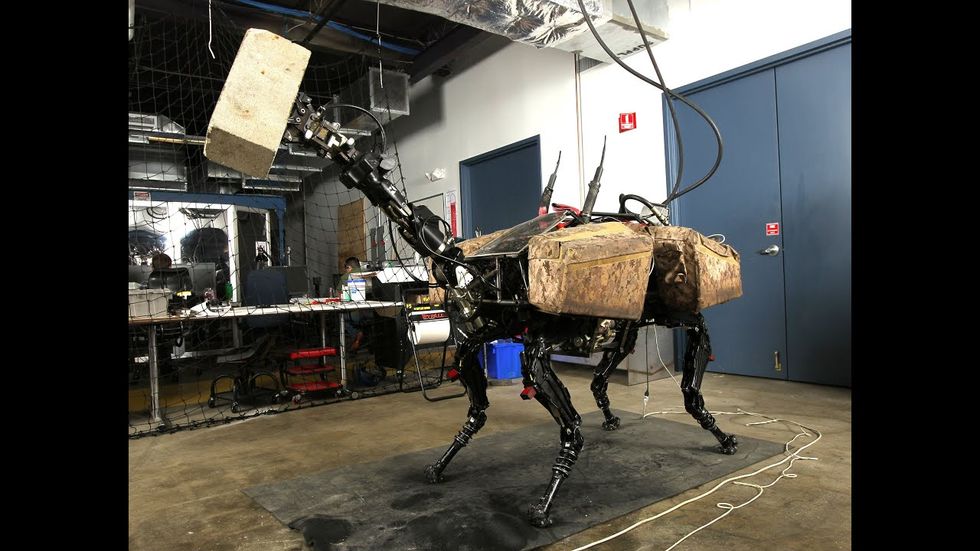 Robot uprising nears and vandals destroy Girl Scout Cookies and little girls' dreams