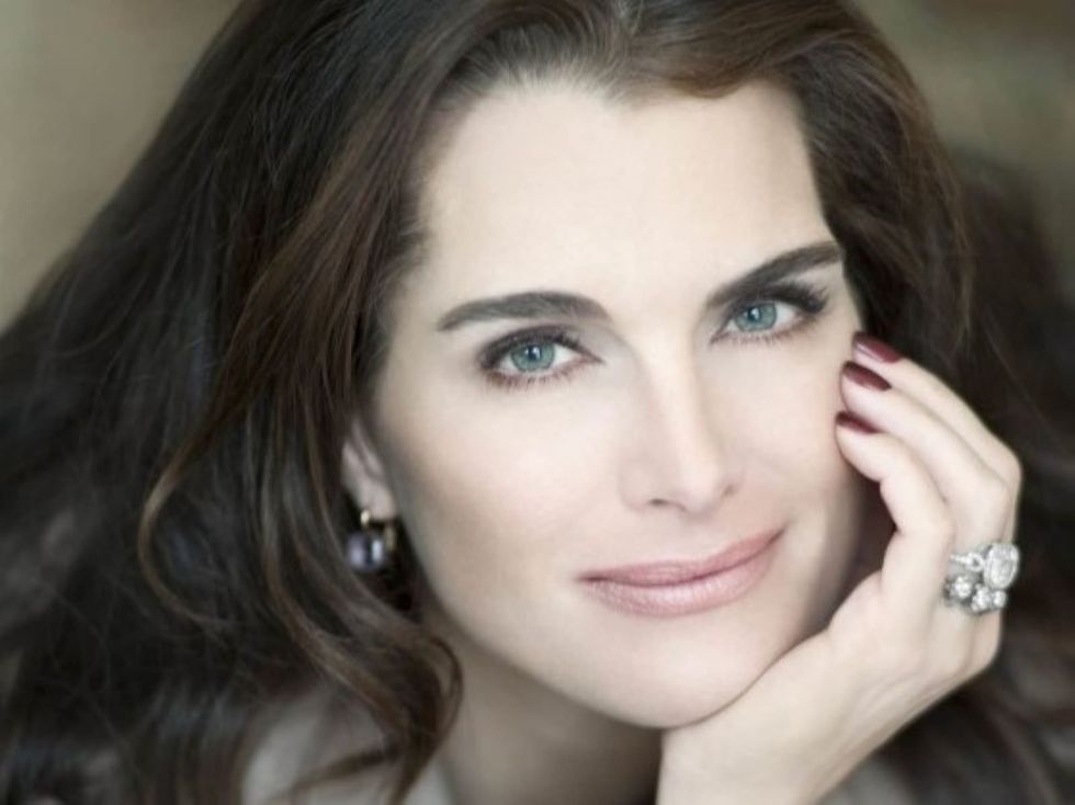 Family Place Luncheon 2023, Brooke Shields