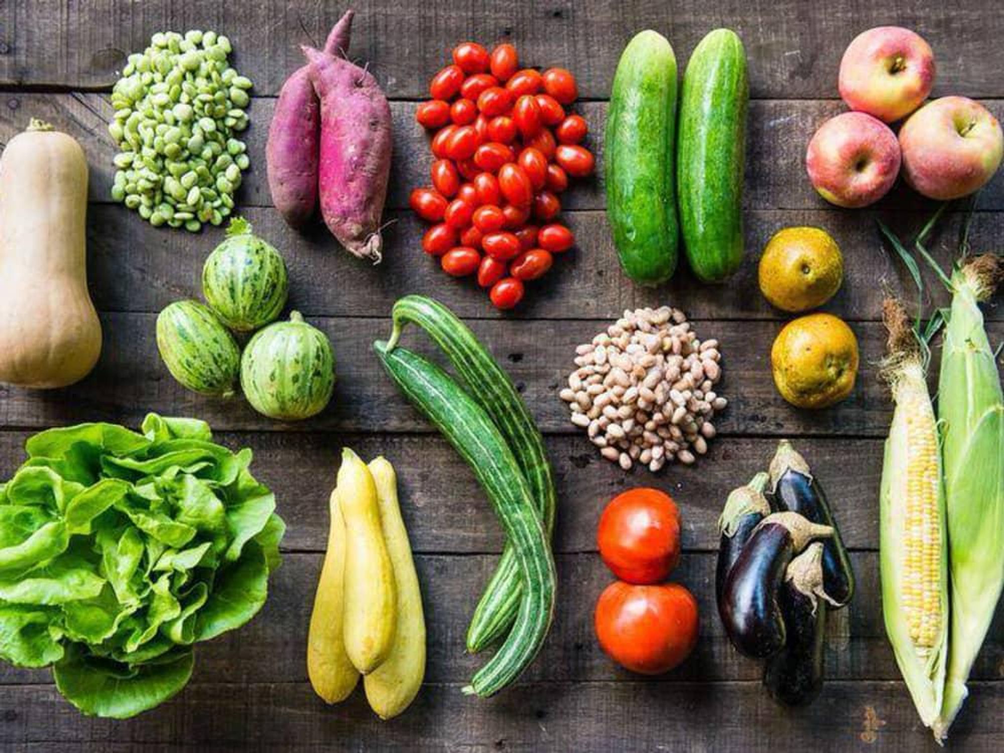 Farmhouse Delivery vegetable bushel August fall 2015