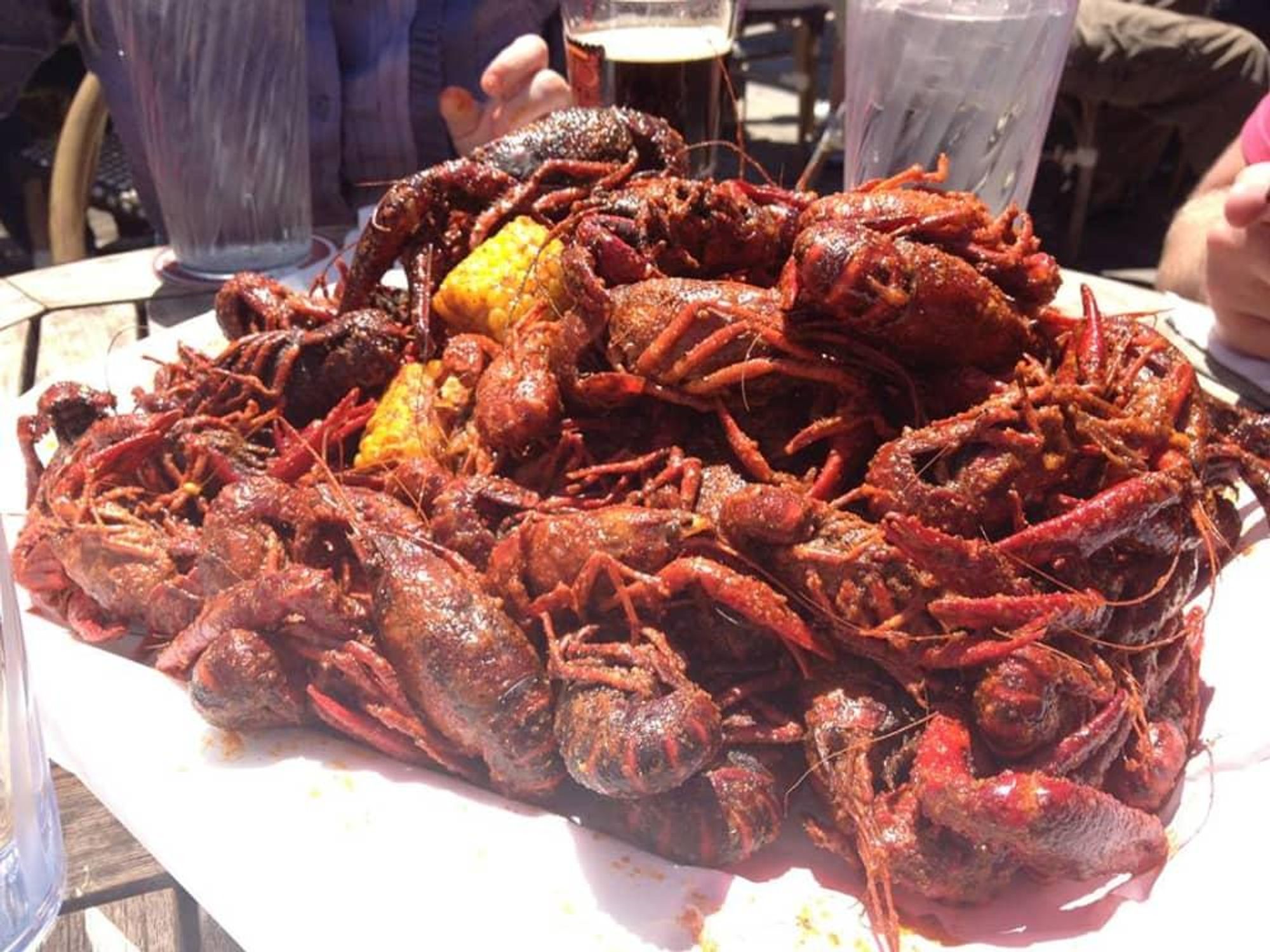 Fat Tuesday celebration and Mardi Gras party