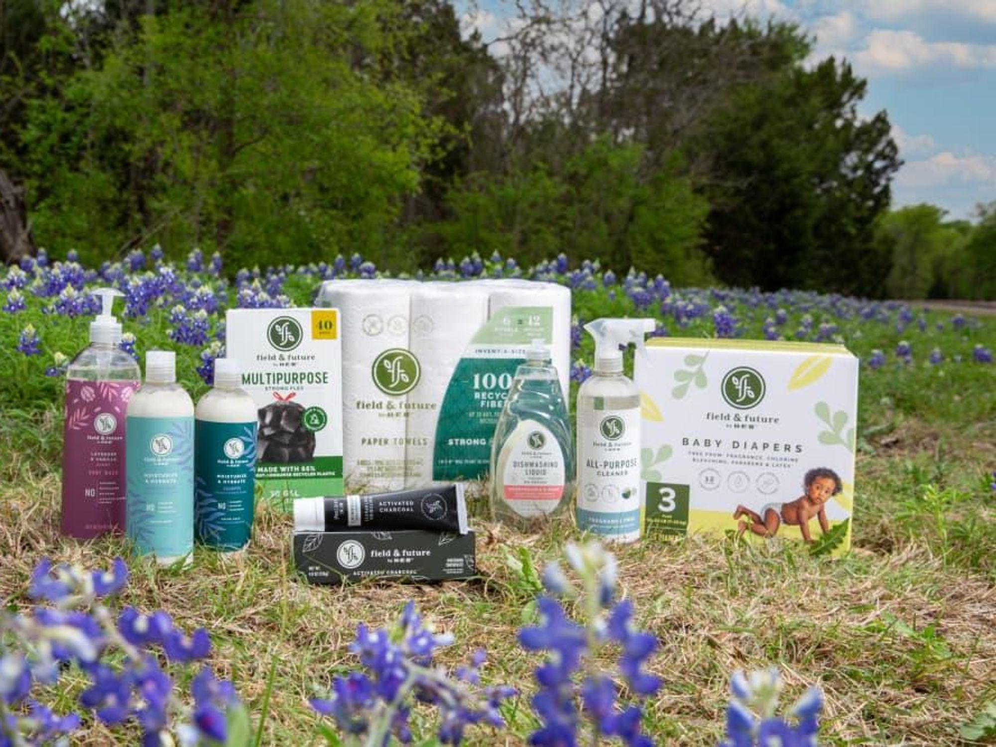 field and future HEB