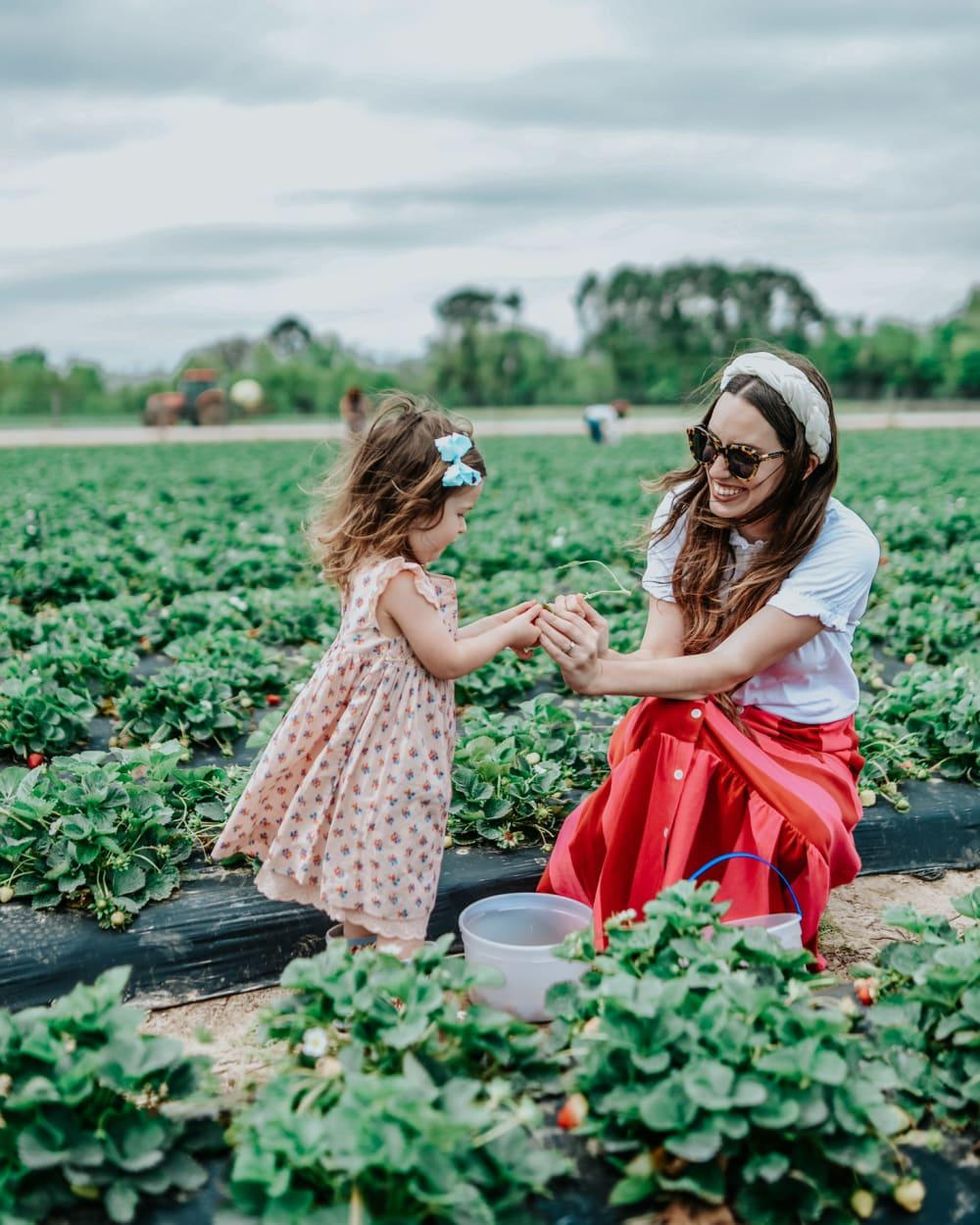 Pick a bushel of fun in family-friendly and nature-loving Alvin