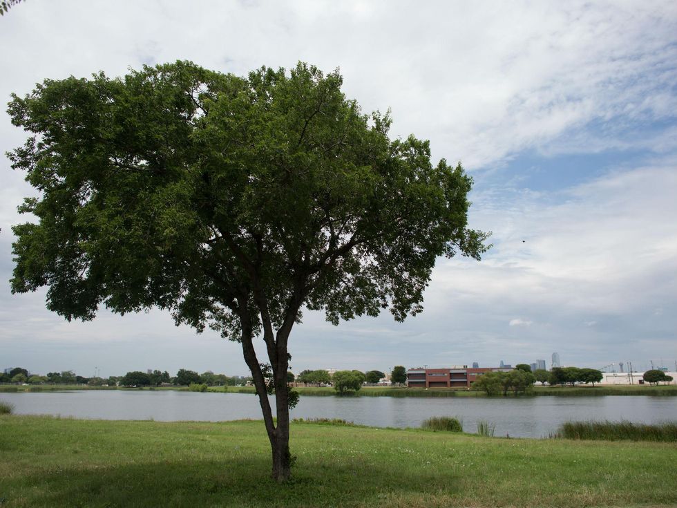 Fish Trap Lake in West Dallas