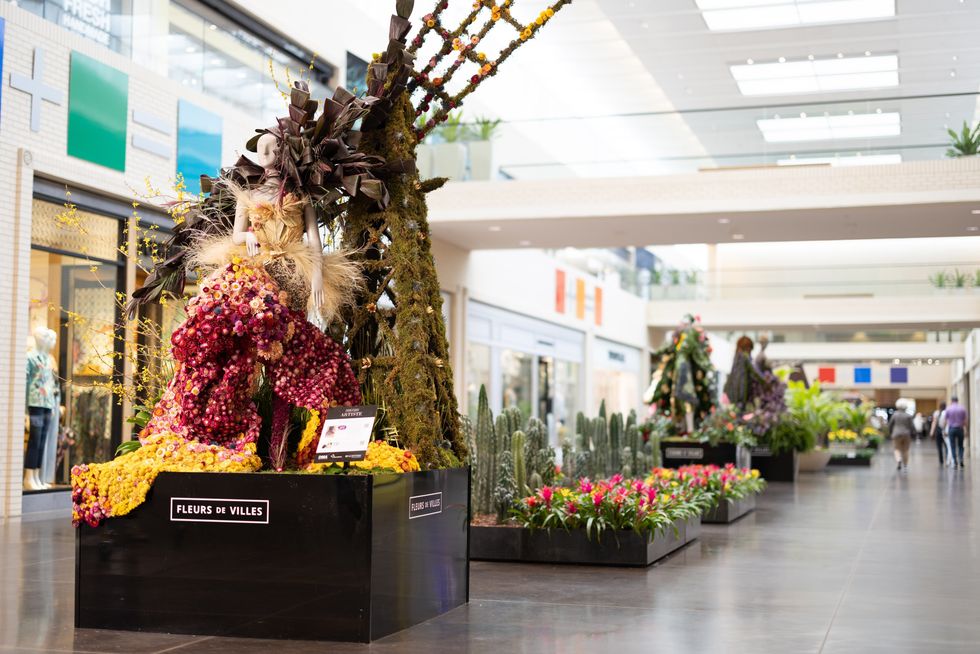 Fleurs de Villes Artiste