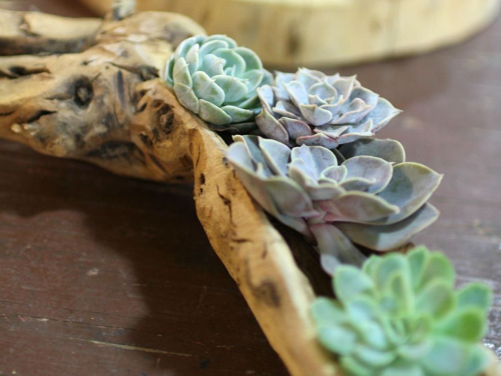 Flowers by Krystal, Krystal Schlegel, Winter bouquet