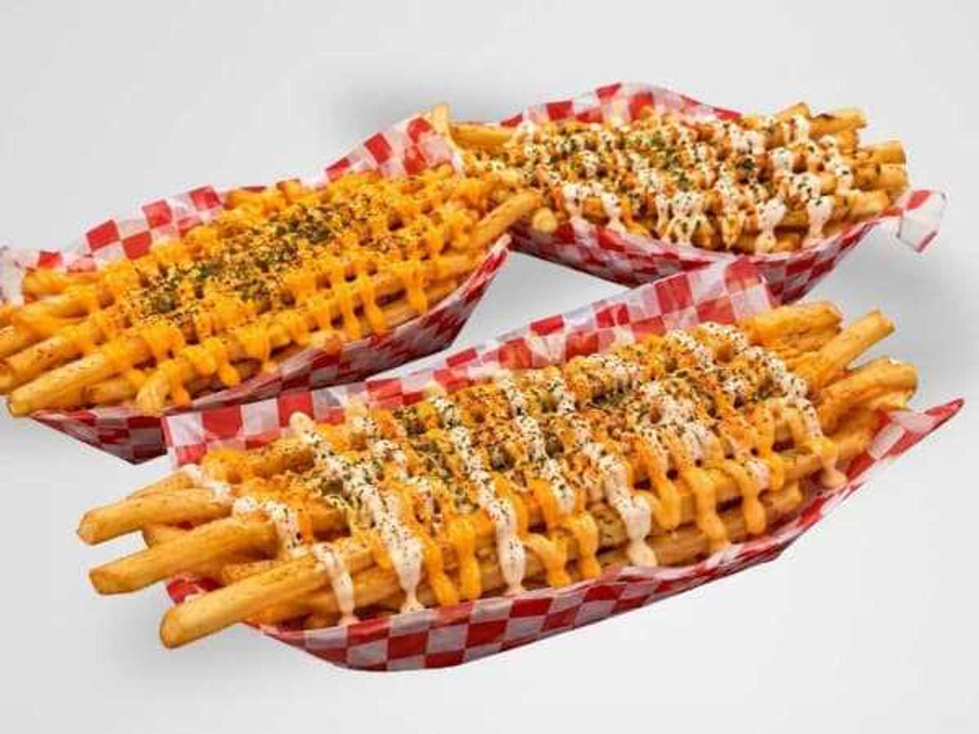 Foot Long Fries State Fair of Texas