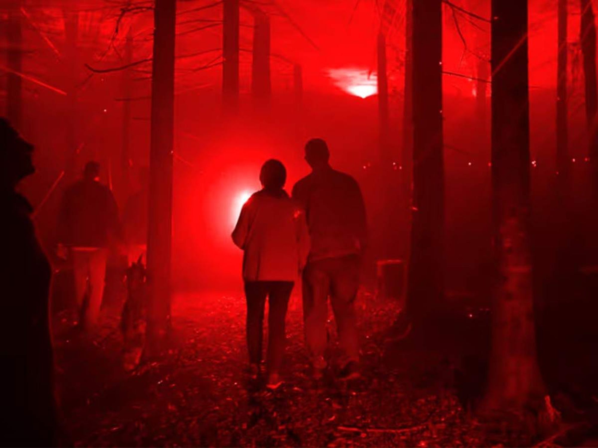 Forest of Shadows: An Immersive Dark Tale