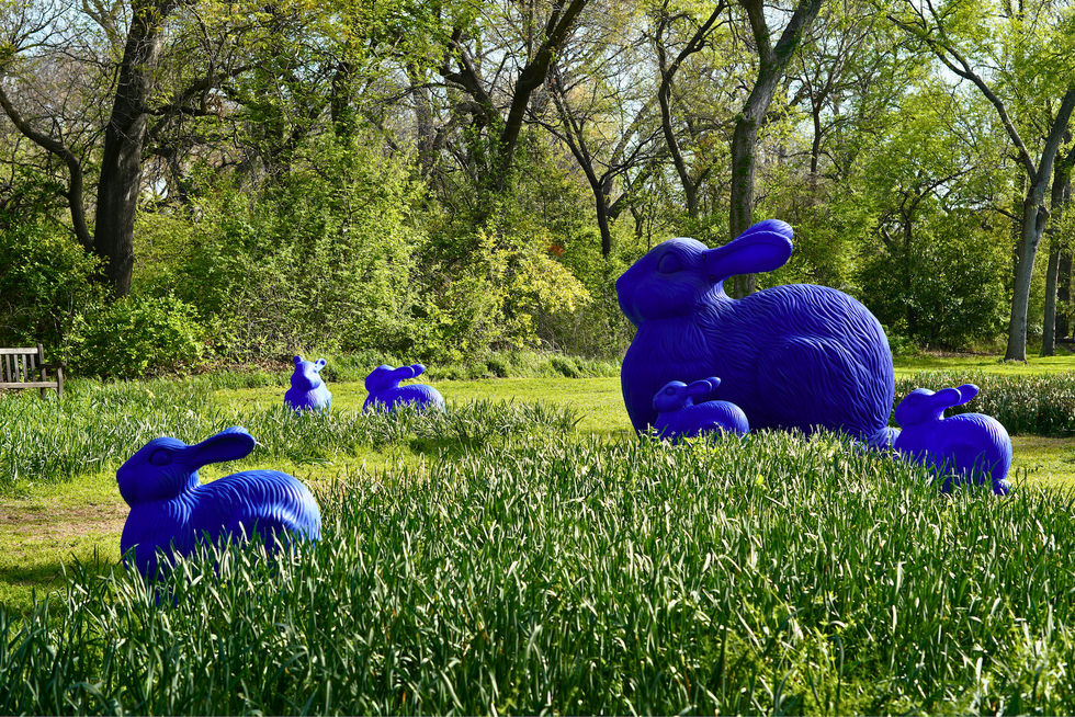 Fort Worth Botanic Garden