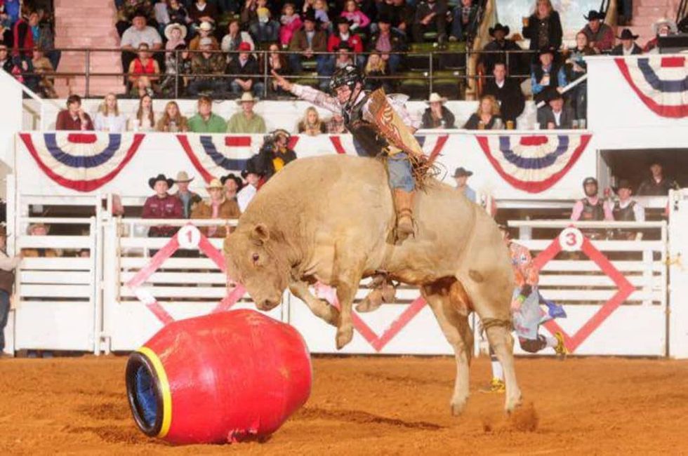 Fort Worth Stock Show and Rodeo