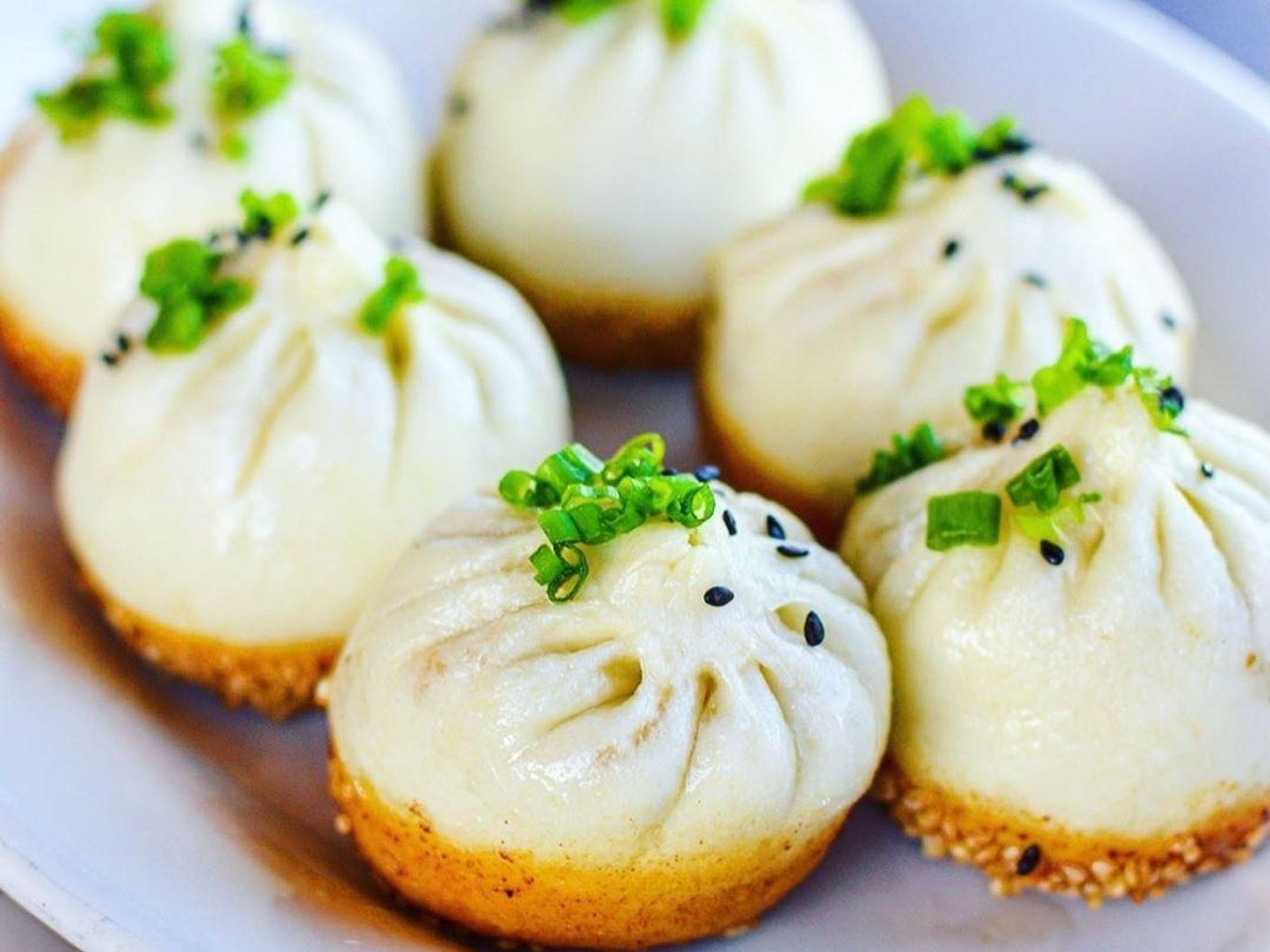 Fortune House Chinese