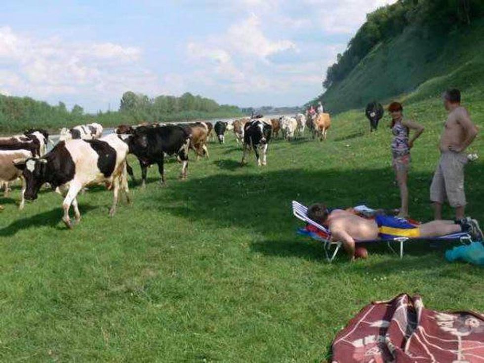 Fourth of July picnic in Ukraine