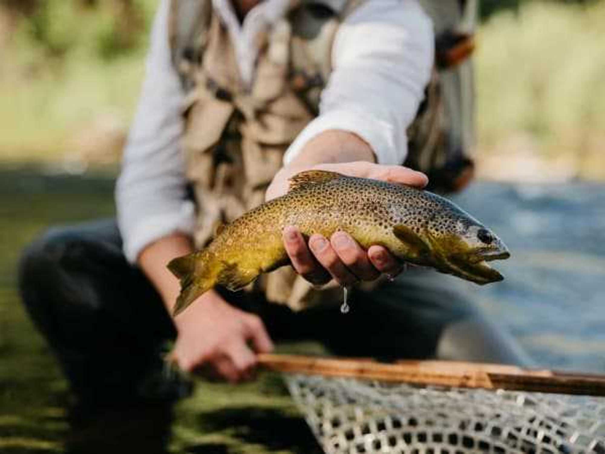 Free Fishing Day in Texas