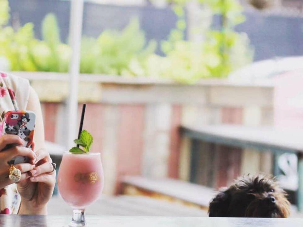 Fros\u00e9 at Oddfellows