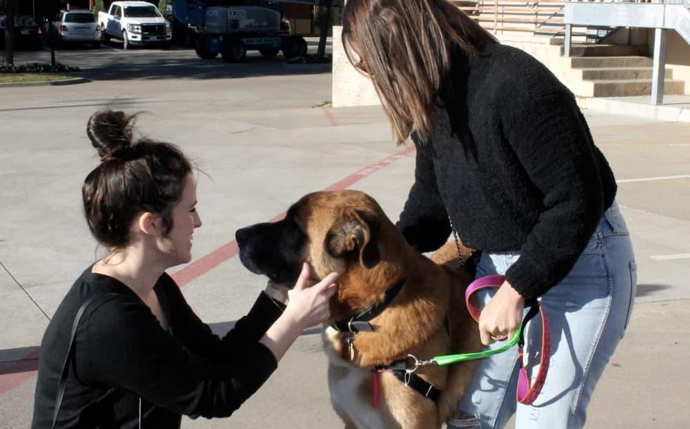 Frost pop-up at Community Beer