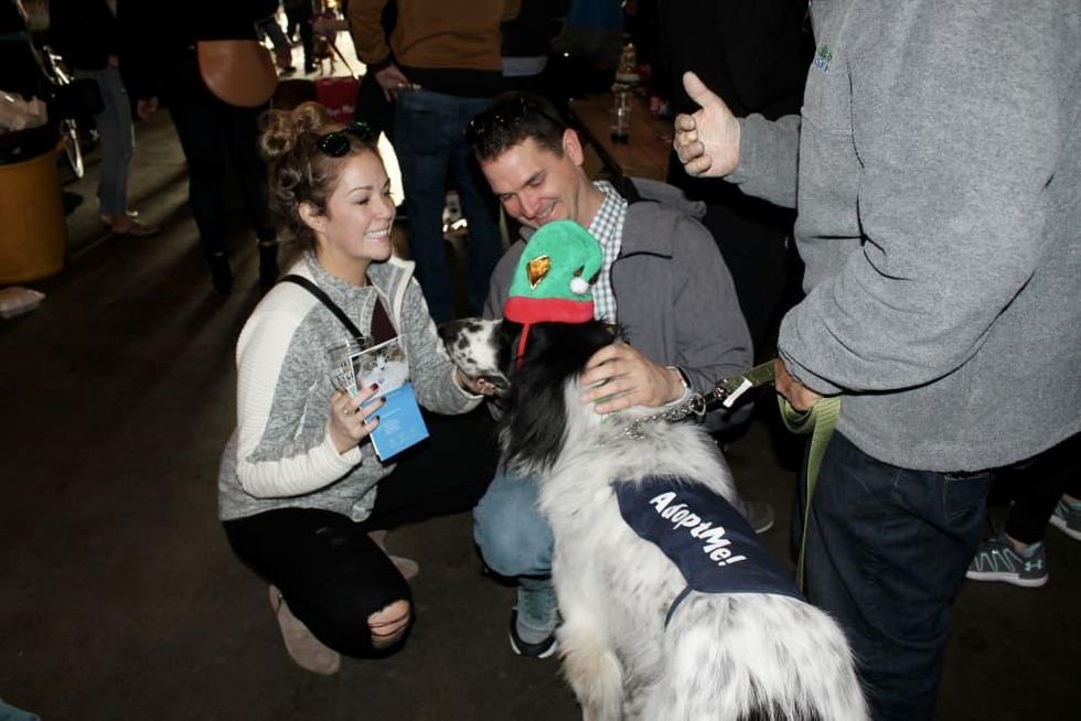 Frost pop-up at Community Beer