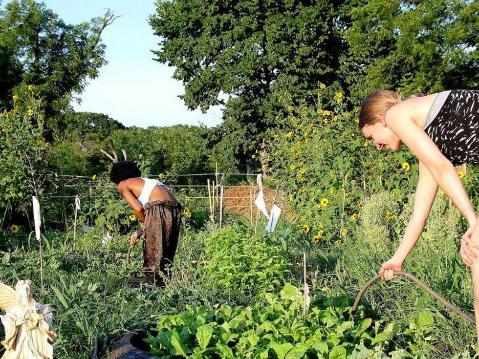 Garden of Eden in Arlington