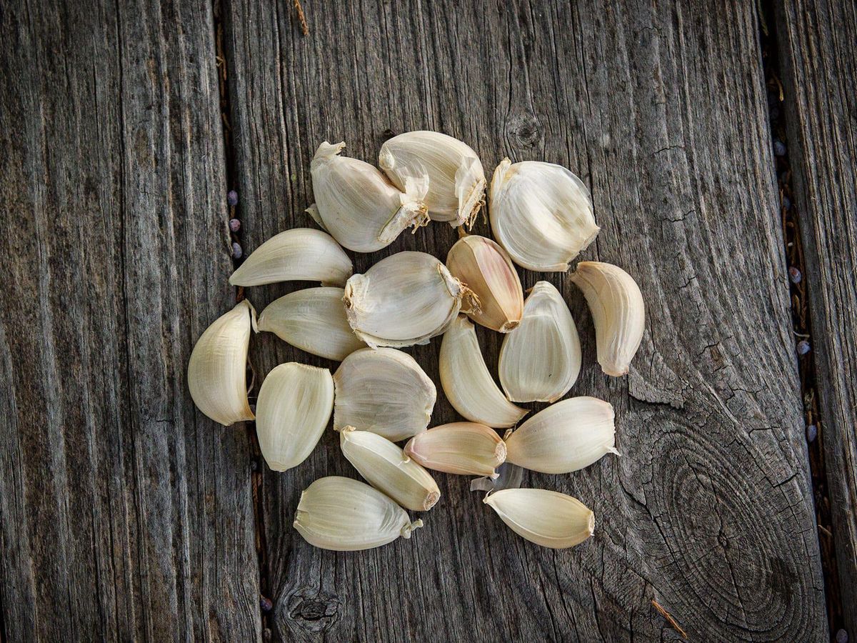 Garlic bulbs consist of several cloves that may be planted to form new