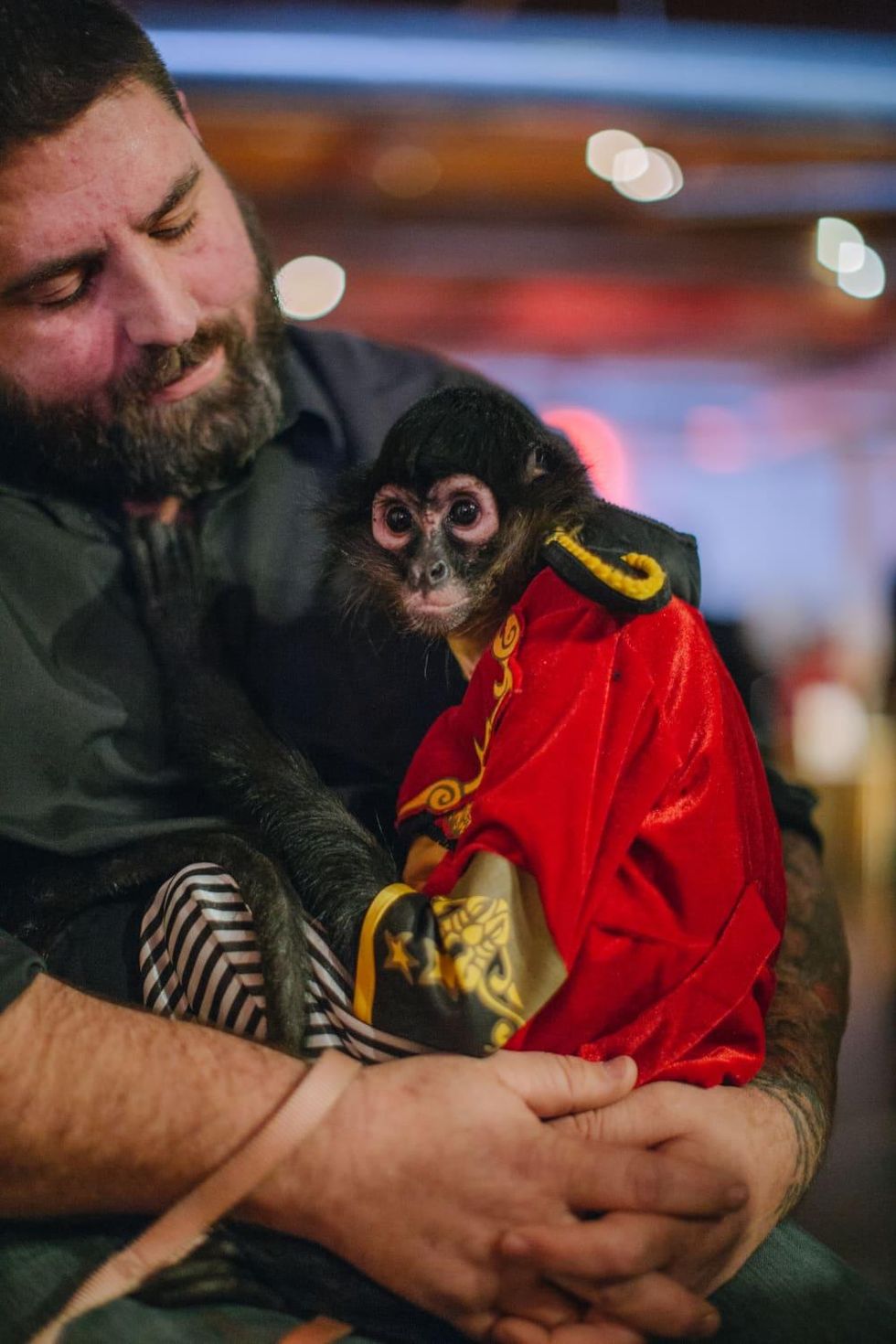 Genesis Masquerade 2019