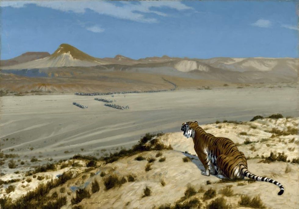 Gerome, Tiger on the Watch, Fortuny Meadows Museum